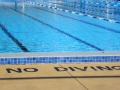 Dapto Olympic Pool