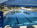 Forbes Olympic Pool