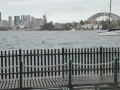 Views of Sydney Harbour from MacCallum Pool on Cremorne Point