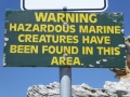 Hazardous marine creatures at Mahon Pool at Maroubra