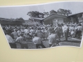 Celebrating 50 years of Oak Flats Pool