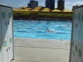 Prince Alfred Park Pool near Central Station