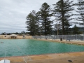 Norfolk pines look over Thirroul Olympic Pool