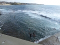 Wylie's Baths at Coogee