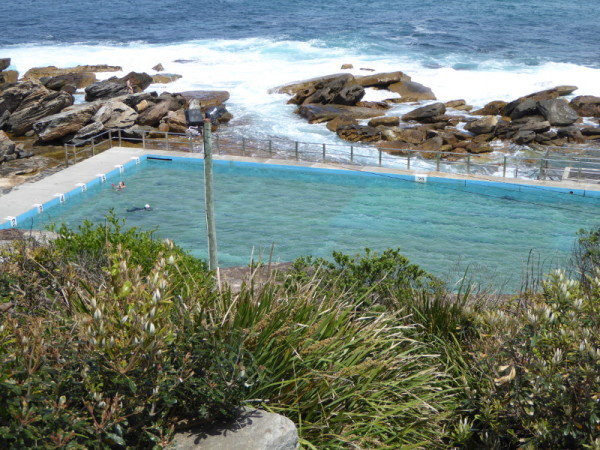 Freshwater Rock Pool