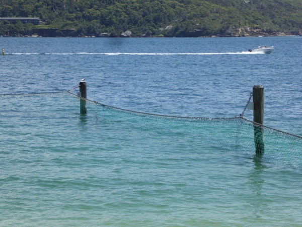 Nielsen Park Pool