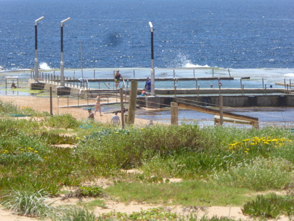 View from Bronze Kiosk at Mona Vale Beach
