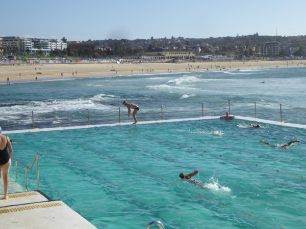 Bondi Icebergs