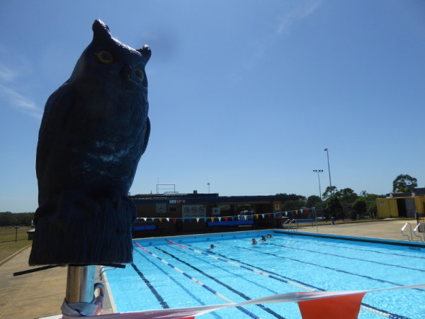 Helensburgh Memorial Pool