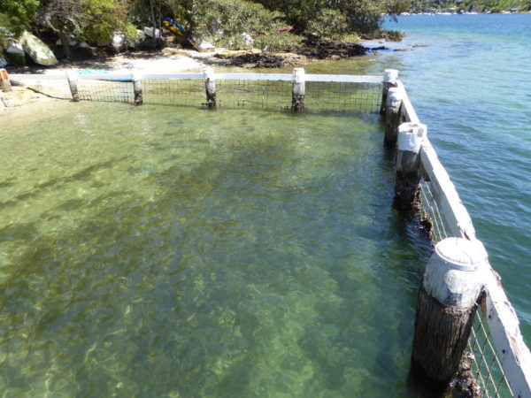 Pickering Point Baths