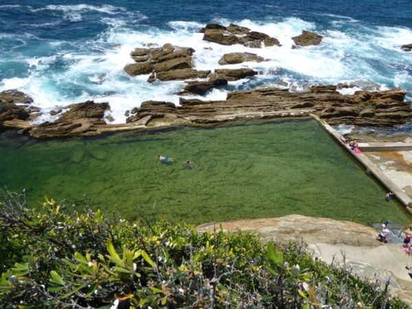 The Blue Pool goes green at Bermagui