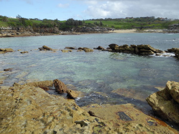 Little Bay Rock Pool