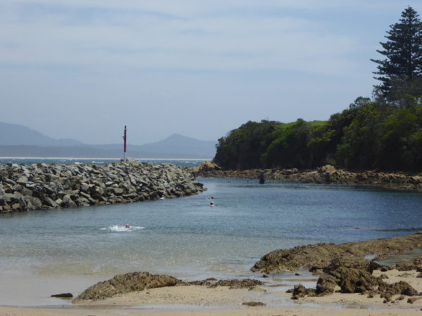 TIL: that in Australia they have net enclosures to provide safe swimming at  some beaches : r/todayilearned